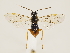  ( - ZMUO.033294)  @12 [ ] CreativeCommons - Attribution Non-Commercial (2018) Marko Mutanen University of Oulu