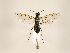  ( - ZMUO.033317)  @12 [ ] CreativeCommons - Attribution Non-Commercial (2018) Marko Mutanen University of Oulu