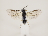  ( - ZMUO.033331)  @12 [ ] CreativeCommons - Attribution Non-Commercial (2018) Marko Mutanen University of Oulu