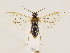  ( - ZMUO.033417)  @12 [ ] CreativeCommons - Attribution Non-Commercial (2018) Marko Mutanen University of Oulu