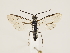  ( - ZMUO.033426)  @13 [ ] CreativeCommons - Attribution Non-Commercial (2018) Marko Mutanen University of Oulu