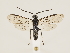  ( - ZMUO.033427)  @13 [ ] CreativeCommons - Attribution Non-Commercial (2018) Marko Mutanen University of Oulu