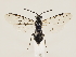  ( - ZMUO.033428)  @13 [ ] CreativeCommons - Attribution Non-Commercial (2018) Marko Mutanen University of Oulu