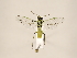  ( - ZMUO.033430)  @12 [ ] CreativeCommons - Attribution Non-Commercial (2018) Marko Mutanen University of Oulu