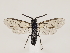  ( - ZMUO.033524)  @15 [ ] CreativeCommons - Attribution Non-Commercial (2018) Marko Mutanen University of Oulu