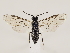  ( - ZMUO.033534)  @15 [ ] CreativeCommons - Attribution Non-Commercial (2018) Marko Mutanen University of Oulu