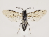  ( - ZMUO.033561)  @15 [ ] CreativeCommons - Attribution Non-Commercial (2018) Marko Mutanen University of Oulu