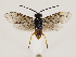  ( - ZMUO.033586)  @13 [ ] CreativeCommons - Attribution Non-Commercial (2018) Marko Mutanen University of Oulu