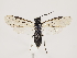  ( - ZMUO.033598)  @15 [ ] CreativeCommons - Attribution Non-Commercial (2018) Marko Mutanen University of Oulu