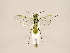  ( - ZMUO.033601)  @12 [ ] CreativeCommons - Attribution Non-Commercial (2018) Marko Mutanen University of Oulu