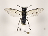 ( - ZMUO.033650)  @12 [ ] CreativeCommons - Attribution Non-Commercial (2018) Marko Mutanen University of Oulu
