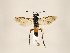  ( - ZMUO.033680)  @12 [ ] CreativeCommons - Attribution Non-Commercial (2018) Marko Mutanen University of Oulu