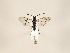  ( - ZMUO.033720)  @13 [ ] CreativeCommons - Attribution Non-Commercial (2018) Marko Mutanen University of Oulu