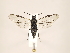  ( - ZMUO.033725)  @13 [ ] CreativeCommons - Attribution Non-Commercial (2018) Marko Mutanen University of Oulu