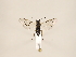  ( - ZMUO.033749)  @12 [ ] CreativeCommons - Attribution Non-Commercial (2018) Marko Mutanen University of Oulu