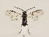  ( - ZMUO.033760)  @11 [ ] CreativeCommons - Attribution Non-Commercial (2018) Marko Mutanen University of Oulu