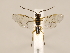  ( - ZMUO.033764)  @11 [ ] CreativeCommons - Attribution Non-Commercial (2018) Marko Mutanen University of Oulu