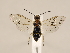  ( - ZMUO.033804)  @12 [ ] CreativeCommons - Attribution Non-Commercial (2018) Marko Mutanen University of Oulu