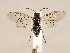  ( - ZMUO.033807)  @12 [ ] CreativeCommons - Attribution Non-Commercial (2018) Marko Mutanen University of Oulu
