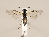  ( - ZMUO.033811)  @12 [ ] CreativeCommons - Attribution Non-Commercial (2018) Marko Mutanen University of Oulu