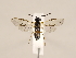  ( - ZMUO.033812)  @12 [ ] CreativeCommons - Attribution Non-Commercial (2018) Marko Mutanen University of Oulu