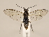  ( - ZMUO.033823)  @13 [ ] CreativeCommons - Attribution Non-Commercial (2018) Marko Mutanen University of Oulu