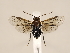  ( - ZMUO.033859)  @12 [ ] CreativeCommons - Attribution Non-Commercial (2018) Marko Mutanen University of Oulu