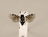  ( - ZMUO.033875)  @12 [ ] CreativeCommons - Attribution Non-Commercial (2018) Marko Mutanen University of Oulu