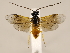  ( - ZMUO.033891)  @13 [ ] CreativeCommons - Attribution Non-Commercial (2018) Marko Mutanen University of Oulu