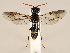  ( - ZMUO.033892)  @13 [ ] CreativeCommons - Attribution Non-Commercial (2018) Marko Mutanen University of Oulu