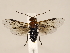  ( - ZMUO.033895)  @12 [ ] CreativeCommons - Attribution Non-Commercial (2018) Marko Mutanen University of Oulu