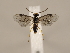  ( - ZMUO.033926)  @12 [ ] CreativeCommons - Attribution Non-Commercial (2018) Marko Mutanen University of Oulu