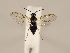  ( - ZMUO.033933)  @11 [ ] CreativeCommons - Attribution Non-Commercial (2018) Marko Mutanen University of Oulu