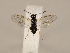  ( - ZMUO.033934)  @11 [ ] CreativeCommons - Attribution Non-Commercial (2018) Marko Mutanen University of Oulu