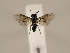  ( - ZMUO.033943)  @11 [ ] CreativeCommons - Attribution Non-Commercial (2018) Marko Mutanen University of Oulu