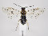  ( - ZMUO.034141)  @12 [ ] CreativeCommons - Attribution Non-Commercial (2019) Marko Mutanen University of Oulu