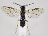  ( - ZMUO.034267)  @12 [ ] CreativeCommons - Attribution Non-Commercial (2019) Marko Mutanen University of Oulu