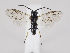  ( - ZMUO.034464)  @12 [ ] CreativeCommons - Attribution Non-Commercial (2019) Marko Mutanen University of Oulu