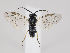  ( - ZMUO.034467)  @12 [ ] CreativeCommons - Attribution Non-Commercial (2019) Marko Mutanen University of Oulu