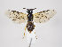  ( - ZMUO.034882)  @12 [ ] CreativeCommons - Attribution Non-Commercial (2019) Marko Mutanen University of Oulu
