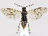  ( - ZMUO.035110)  @13 [ ] CreativeCommons - Attribution Non-Commercial (2019) Marko Mutanen University of Oulu