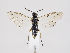  ( - ZMUO.035392)  @13 [ ] CreativeCommons - Attribution Non-Commercial (2019) Marko Mutanen University of Oulu