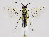  ( - ZMUO.035406)  @14 [ ] CreativeCommons - Attribution Non-Commercial (2019) Marko Mutanen University of Oulu