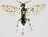  ( - ZMUO.035461)  @12 [ ] CreativeCommons - Attribution Non-Commercial (2019) Marko Mutanen University of Oulu