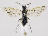  ( - ZMUO.035481)  @12 [ ] CreativeCommons - Attribution Non-Commercial (2019) Marko Mutanen University of Oulu