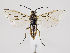  ( - ZMUO.035556)  @13 [ ] CreativeCommons - Attribution Non-Commercial (2019) Marko Mutanen University of Oulu
