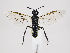  ( - ZMUO.035587)  @11 [ ] CreativeCommons - Attribution Non-Commercial (2019) Marko Mutanen University of Oulu