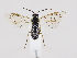  ( - ZMUO.035926)  @13 [ ] CreativeCommons - Attribution Non-Commercial (2019) Marko Mutanen University of Oulu