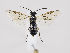  ( - ZMUO.035928)  @13 [ ] CreativeCommons - Attribution Non-Commercial (2019) Marko Mutanen University of Oulu