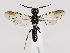  ( - ZMUO.036020)  @12 [ ] CreativeCommons - Attribution Non-Commercial (2019) Marko Mutanen University of Oulu